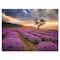 Designart - Sunrise & Dramatic Clouds Over Lavender Field VIII - Farmhouse Canvas Wall Art Print